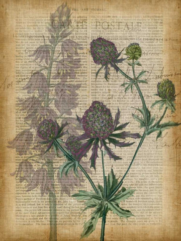 Fuchsia Flowers III Black Ornate Wood Framed Art Print with Double Matting by Studio W