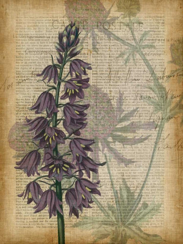 Fuchsia Flowers IV Black Ornate Wood Framed Art Print with Double Matting by Studio W