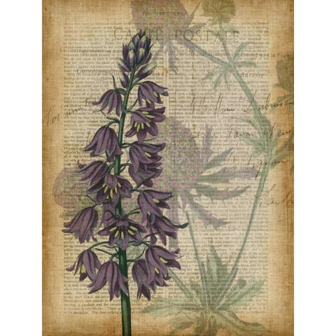 Fuchsia Flowers IV Black Modern Wood Framed Art Print by Studio W