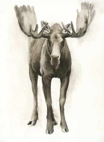 Majestic Wildlife I White Modern Wood Framed Art Print with Double Matting by Popp, Grace
