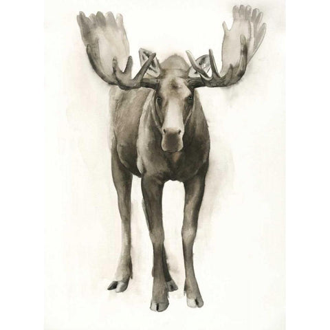 Majestic Wildlife I Black Modern Wood Framed Art Print by Popp, Grace