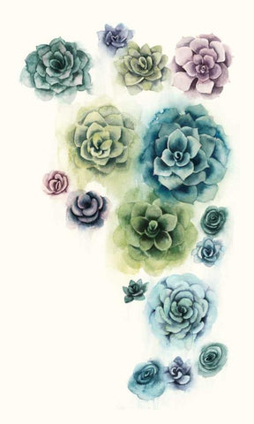 Succulent Cluster I White Modern Wood Framed Art Print with Double Matting by Popp, Grace