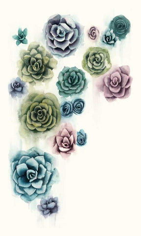 Succulent Cluster II White Modern Wood Framed Art Print with Double Matting by Popp, Grace