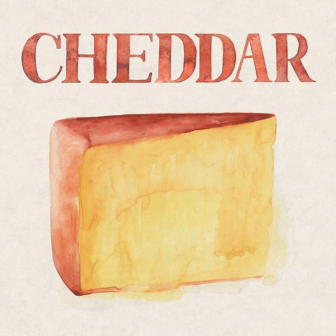 Fromage IV White Modern Wood Framed Art Print with Double Matting by Popp, Grace