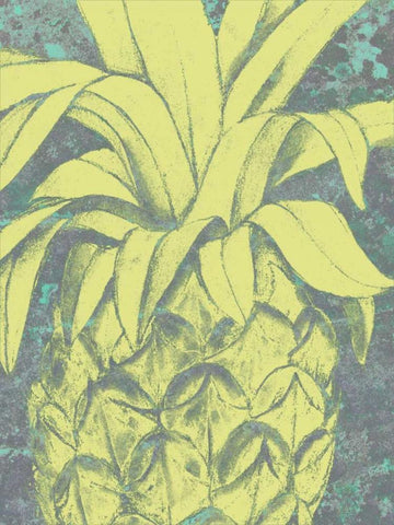 Kona Pineapple I Black Ornate Wood Framed Art Print with Double Matting by Goldberger, Jennifer