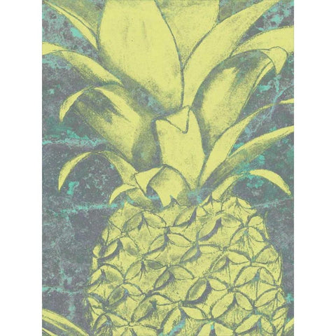 Kona Pineapple II Black Modern Wood Framed Art Print with Double Matting by Goldberger, Jennifer