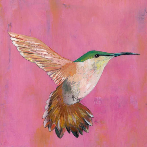 Sweet Hummingbird I Black Modern Wood Framed Art Print with Double Matting by Altug, Mehmet