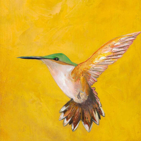 Sweet Hummingbird II Black Ornate Wood Framed Art Print with Double Matting by Altug, Mehmet