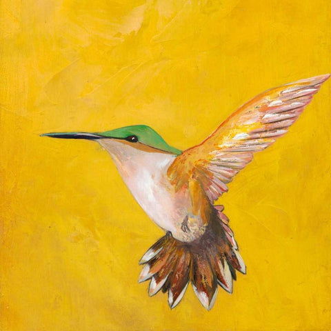 Sweet Hummingbird II Black Modern Wood Framed Art Print by Altug, Mehmet