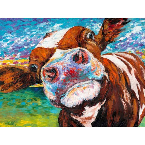 Curious Cow I Black Modern Wood Framed Art Print with Double Matting by Vitaletti, Carolee