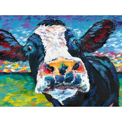 Curious Cow II Black Modern Wood Framed Art Print with Double Matting by Vitaletti, Carolee