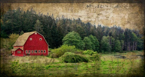 Widbys Barn I Black Ornate Wood Framed Art Print with Double Matting by Perry, Rachel