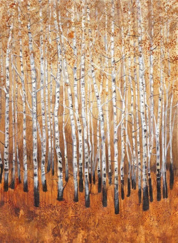 Sienna Birches I White Modern Wood Framed Art Print with Double Matting by OToole, Tim
