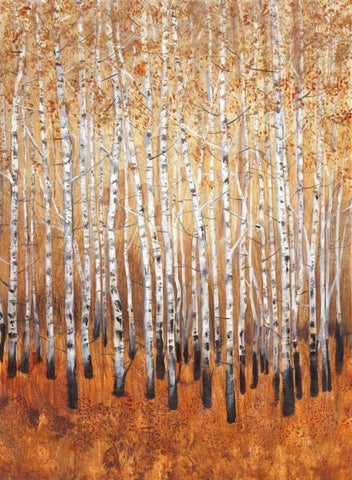 Sienna Birches I Black Ornate Wood Framed Art Print with Double Matting by OToole, Tim