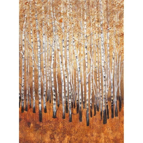 Sienna Birches I Gold Ornate Wood Framed Art Print with Double Matting by OToole, Tim