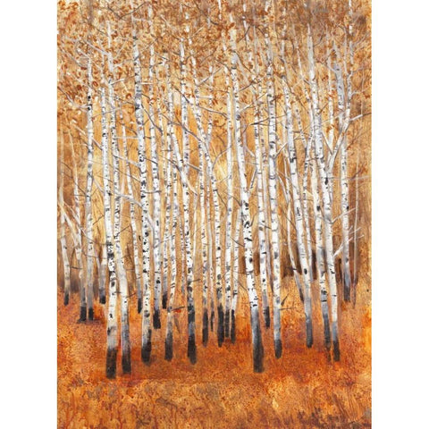 Sienna Birches II Gold Ornate Wood Framed Art Print with Double Matting by OToole, Tim