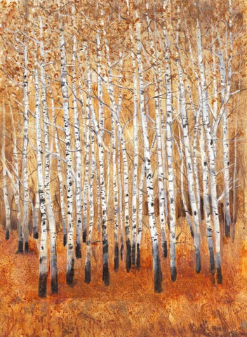 Sienna Birches II Black Ornate Wood Framed Art Print with Double Matting by OToole, Tim