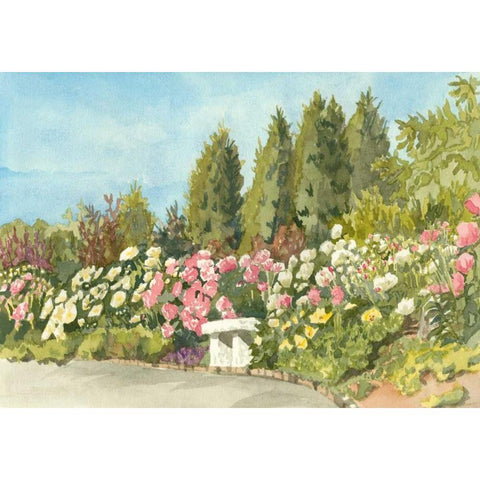 Aquarelle Garden III White Modern Wood Framed Art Print by Miller, Dianne