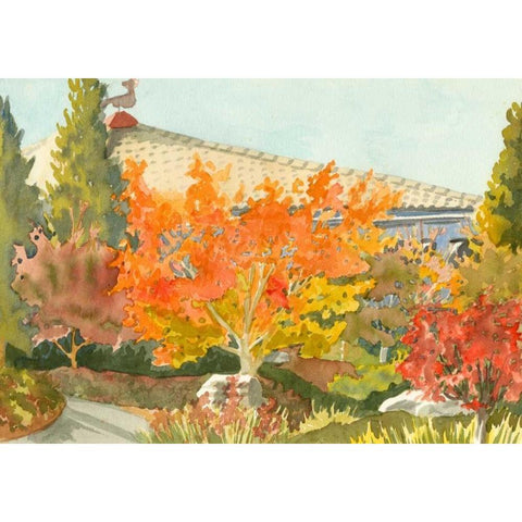 Aquarelle Garden VII Black Modern Wood Framed Art Print with Double Matting by Miller, Dianne