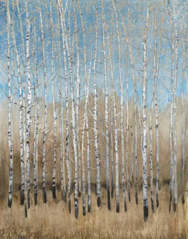 Dusty Blue Birches I White Modern Wood Framed Art Print with Double Matting by OToole, Tim