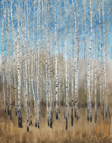 Dusty Blue Birches II Black Ornate Wood Framed Art Print with Double Matting by OToole, Tim