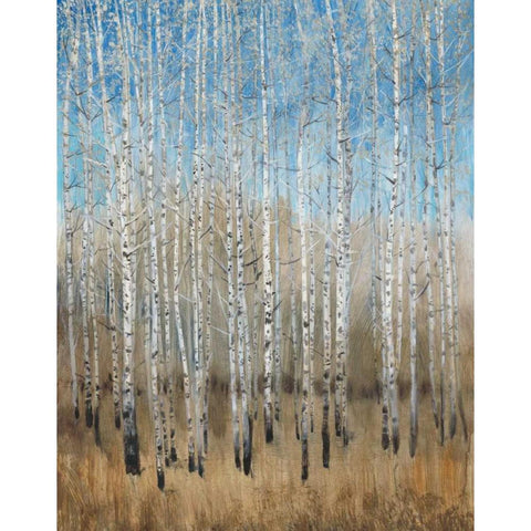 Dusty Blue Birches II White Modern Wood Framed Art Print by OToole, Tim