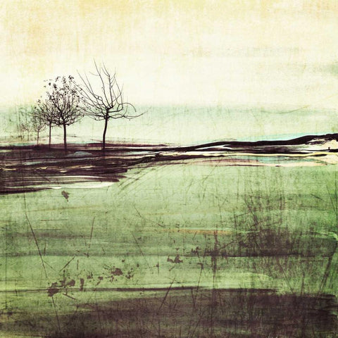 Forest Glimpse III Black Modern Wood Framed Art Print by Orlov, Irena