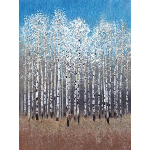 Cobalt Birches I Gold Ornate Wood Framed Art Print with Double Matting by OToole, Tim