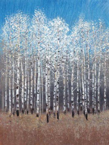 Cobalt Birches I White Modern Wood Framed Art Print with Double Matting by OToole, Tim