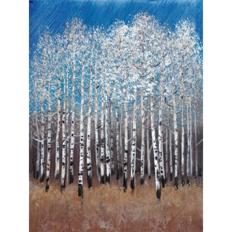 Cobalt Birches II Black Modern Wood Framed Art Print with Double Matting by OToole, Tim