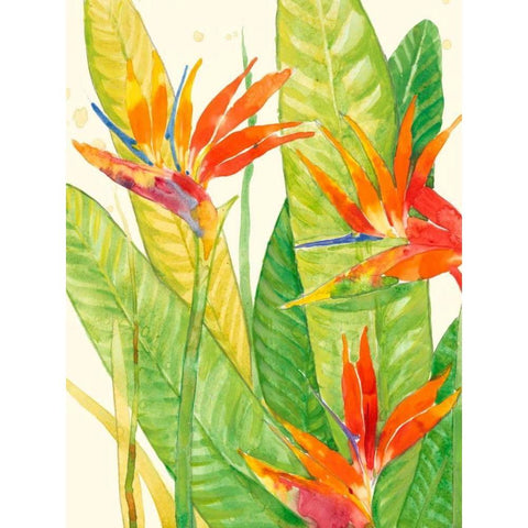 Watercolor Tropical Flowers III Black Modern Wood Framed Art Print with Double Matting by OToole, Tim