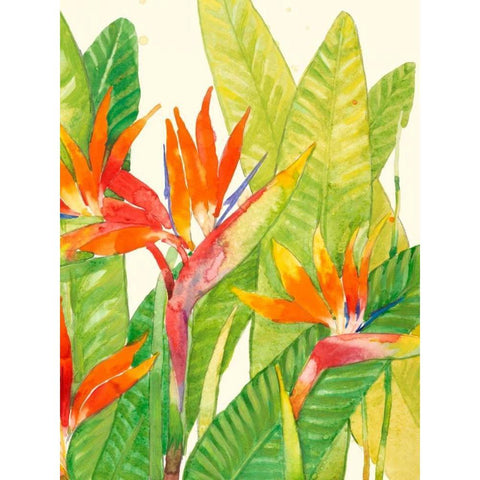 Watercolor Tropical Flowers IV Black Modern Wood Framed Art Print with Double Matting by OToole, Tim