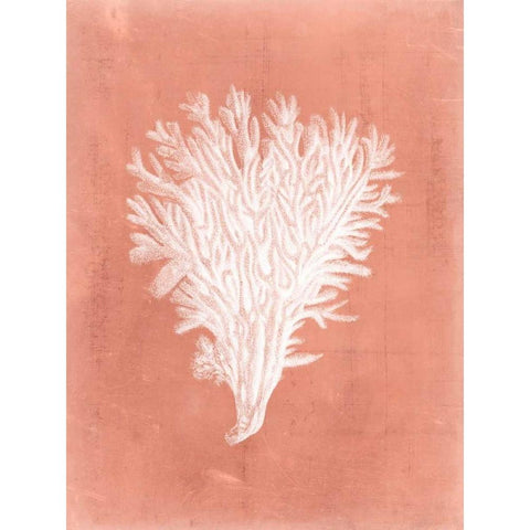 Sealife on Coral II White Modern Wood Framed Art Print by Vision Studio