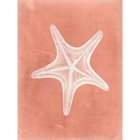 Sealife on Coral IV White Modern Wood Framed Art Print by Vision Studio