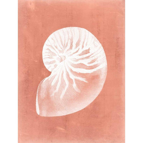 Sealife on Coral V White Modern Wood Framed Art Print by Vision Studio