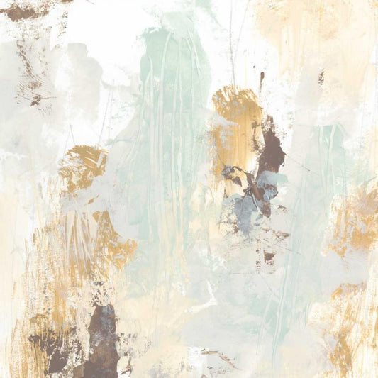 Image Only
