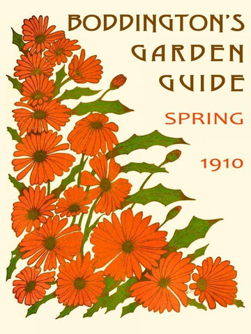 Boddingtons Garden Guide II White Modern Wood Framed Art Print with Double Matting by Vision Studio