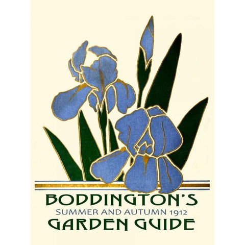 Boddingtons Garden Guide IV Black Modern Wood Framed Art Print by Vision Studio