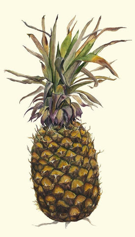 Pineapple Study I (ASH) White Modern Wood Framed Art Print with Double Matting by Willett, Michael