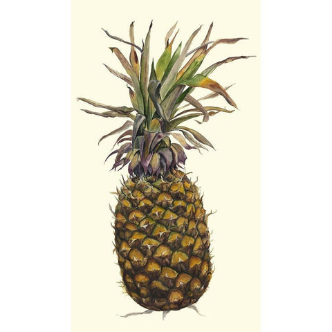Pineapple Study I (ASH) Black Modern Wood Framed Art Print by Willett, Michael