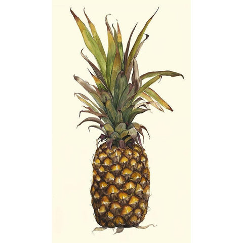 Pineapple Study II (ASH) White Modern Wood Framed Art Print by Willett, Michael