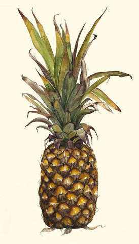 Pineapple Study II (ASH) White Modern Wood Framed Art Print with Double Matting by Willett, Michael