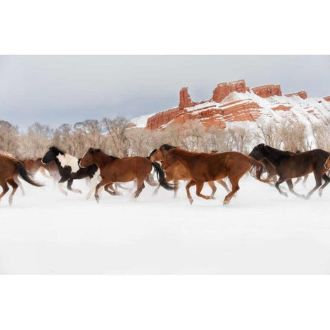 Snow Run III Black Modern Wood Framed Art Print by PHBurchett