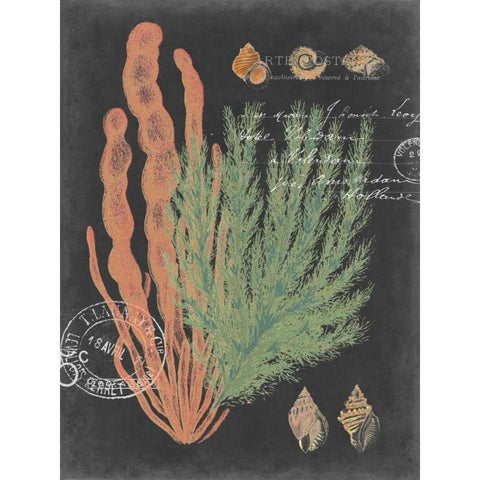 Coastal Post I Gold Ornate Wood Framed Art Print with Double Matting by Studio W