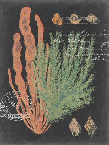 Coastal Post I White Modern Wood Framed Art Print with Double Matting by Studio W