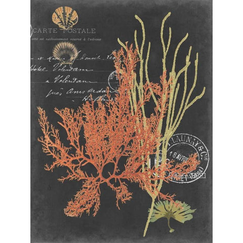 Coastal Post II Gold Ornate Wood Framed Art Print with Double Matting by Studio W