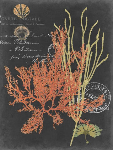 Coastal Post II White Modern Wood Framed Art Print with Double Matting by Studio W