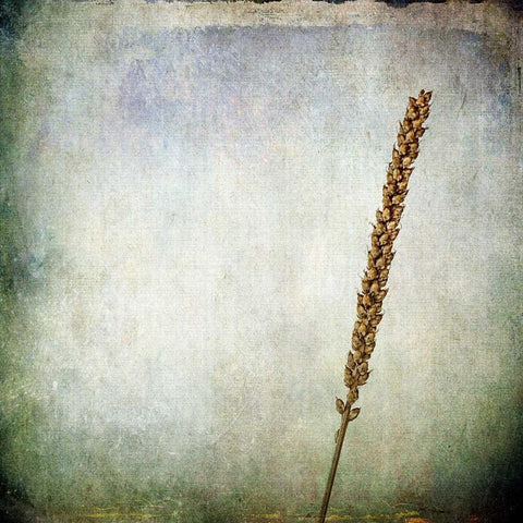 Grunge Remnants I Black Modern Wood Framed Art Print by Malek, Honey