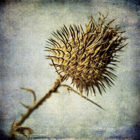 Grunge Remnants II White Modern Wood Framed Art Print by Malek, Honey