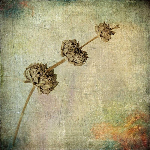 Grunge Remnants IV Black Modern Wood Framed Art Print with Double Matting by Malek, Honey